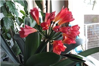 8a583b73-Picture 046.jpg